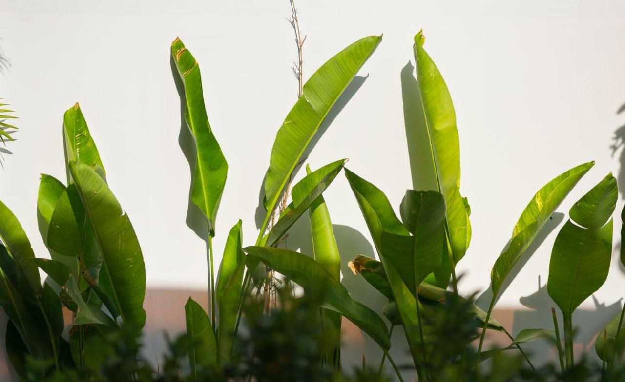 Saclo Villa And Hostel Hoi An Luaran gambar